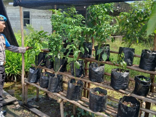 WhatsApp Image 2026 03 06 at 09.17.41