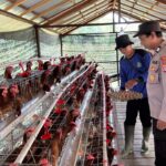 WhatsApp Image 2026 03 08 at 09.20.38