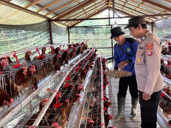 WhatsApp Image 2026 03 08 at 09.20.38