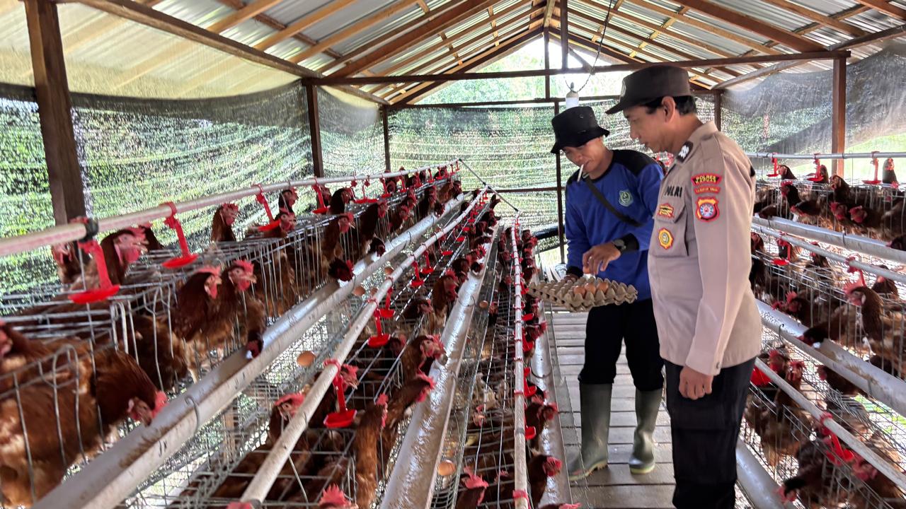 WhatsApp Image 2026 03 08 at 09.20.38