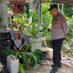 WhatsApp Image 2026 03 09 at 10.47.25