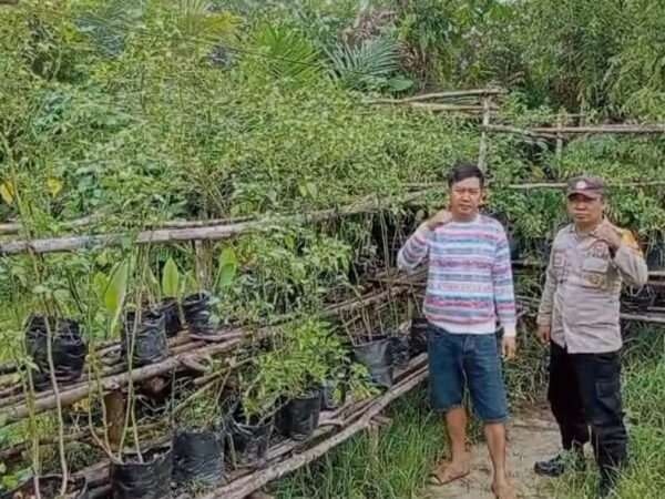 WhatsApp Image 2026 03 10 at 08.32.13