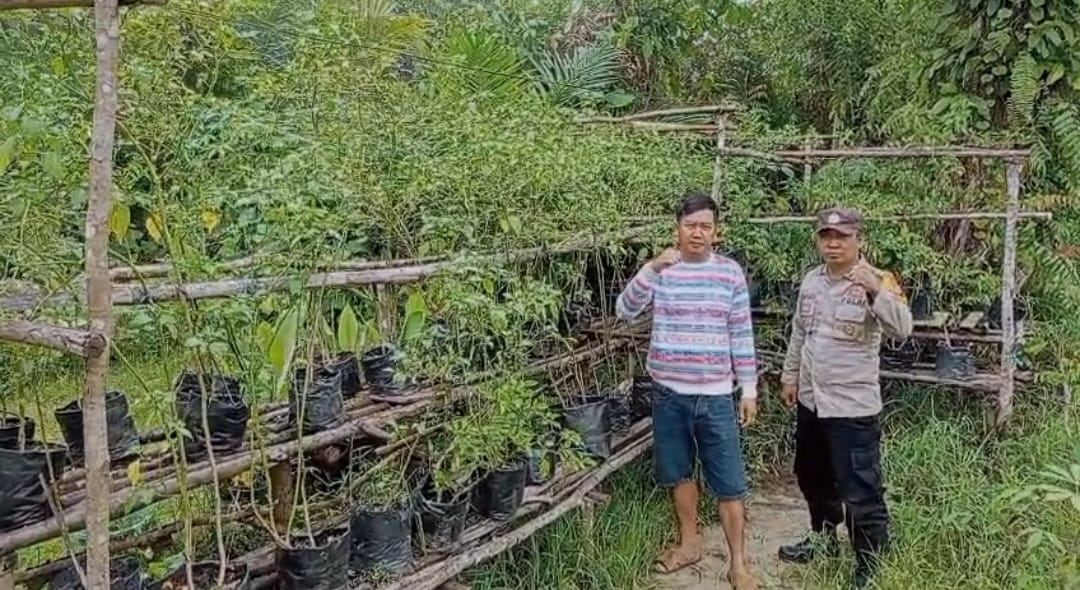 WhatsApp Image 2026 03 10 at 08.32.13