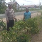 WhatsApp Image 2026 03 11 at 09.42.44 (1)