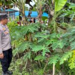 WhatsApp Image 2026 03 11 at 12.02.25