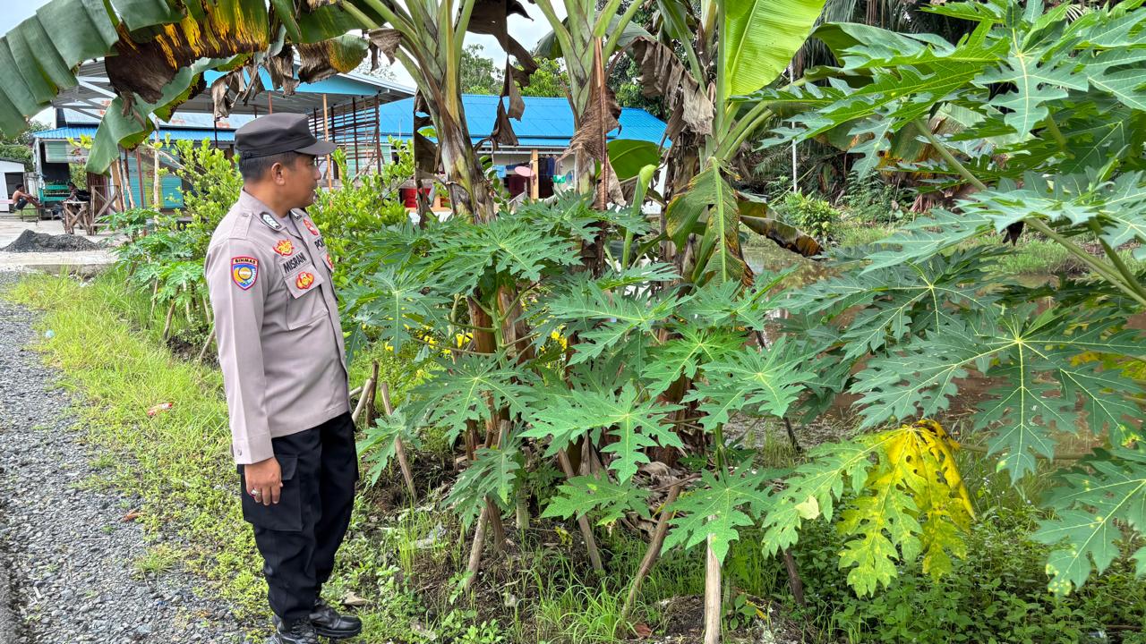 WhatsApp Image 2026 03 11 at 12.02.25