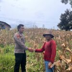 WhatsApp Image 2026 03 11 at 14.55.44