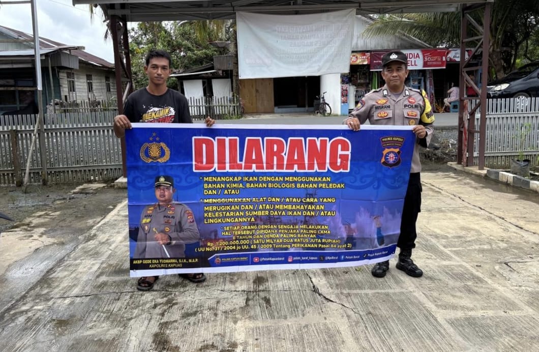 WhatsApp Image 2026 03 11 at 17.24.18