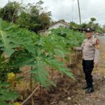 WhatsApp Image 2026 03 12 at 09.58.04