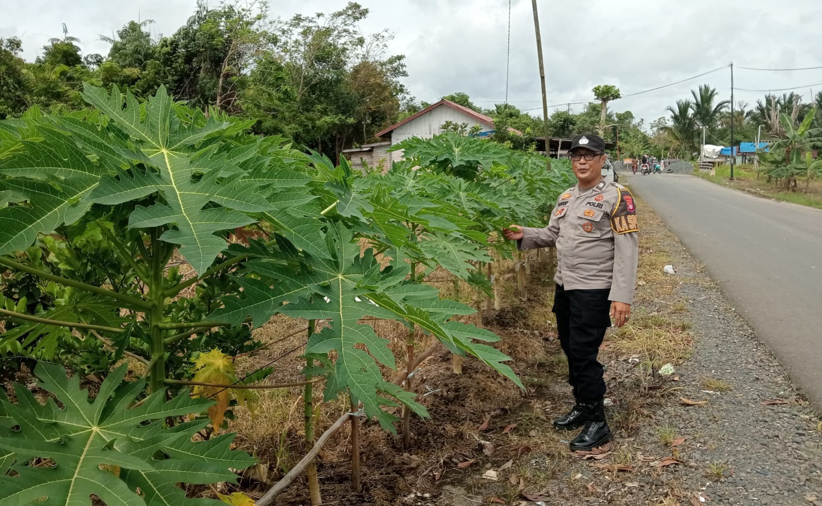 WhatsApp Image 2026 03 12 at 09.58.04