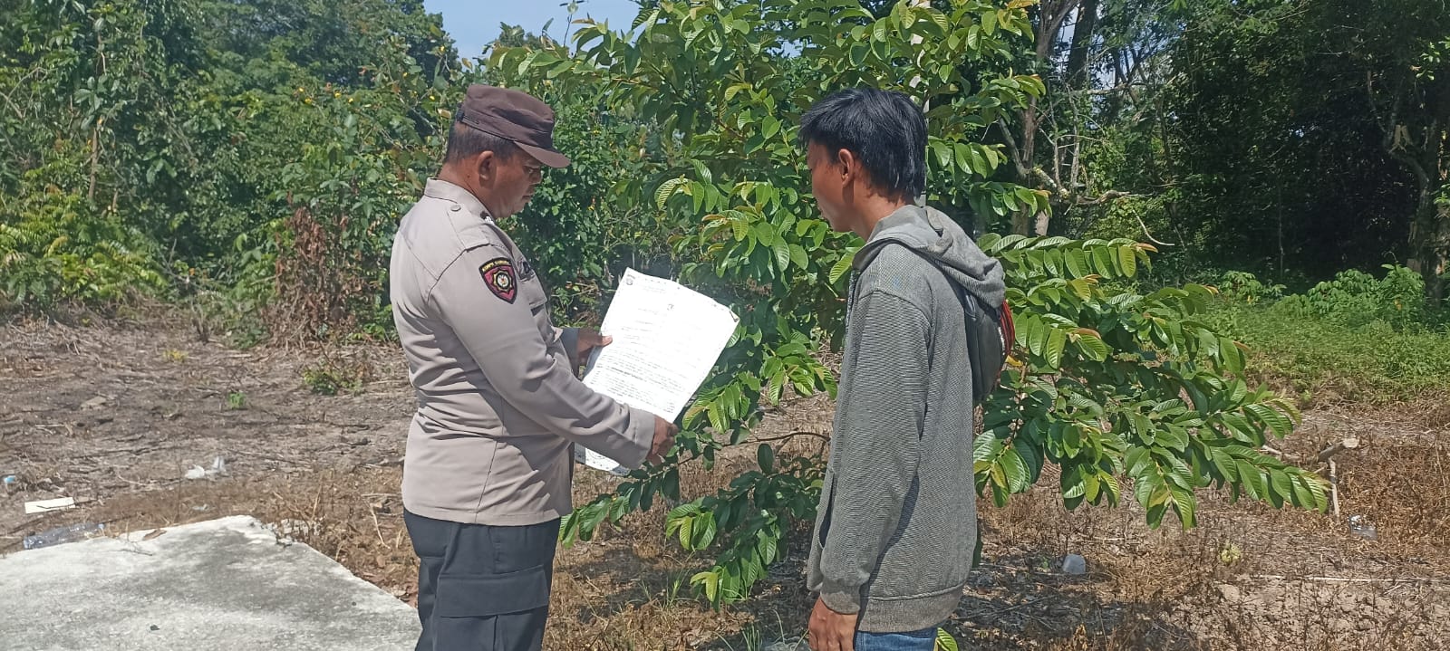 WhatsApp Image 2026 03 12 at 12.33.38