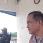 WhatsApp Image 2026 03 12 at 16.59.20