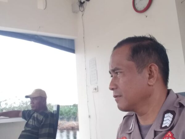 WhatsApp Image 2026 03 12 at 16.59.20