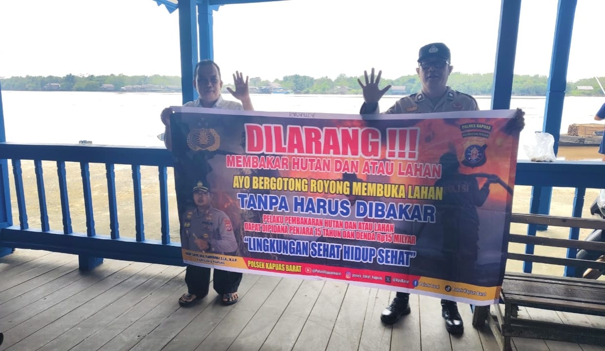 WhatsApp Image 2026 03 12 at 17.03.47