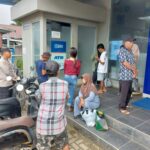 WhatsApp Image 2026 03 13 at 23.00.03