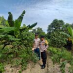 WhatsApp Image 2026 03 14 at 09.19.35