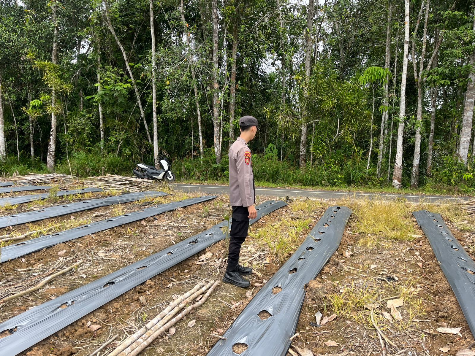 WhatsApp Image 2026 03 15 at 01.24.21 (1)