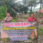 WhatsApp Image 2026 03 15 at 01.24.24 (2)