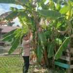 WhatsApp Image 2026 03 15 at 09.00.53