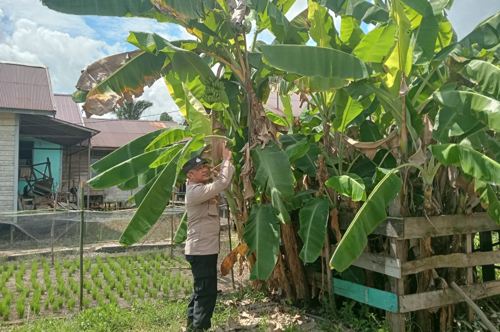 WhatsApp Image 2026 03 15 at 09.00.53