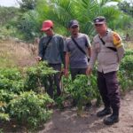 WhatsApp Image 2026 03 16 at 11.48.18