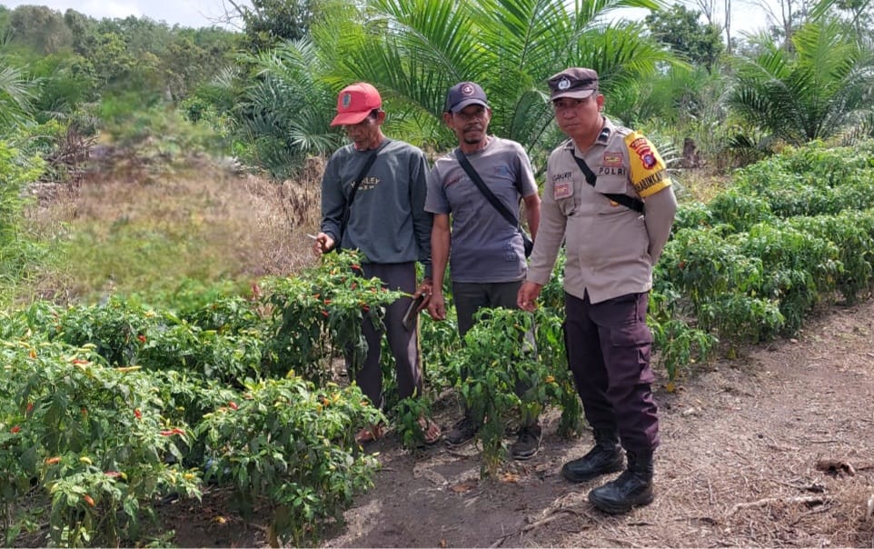 WhatsApp Image 2026 03 16 at 11.48.18