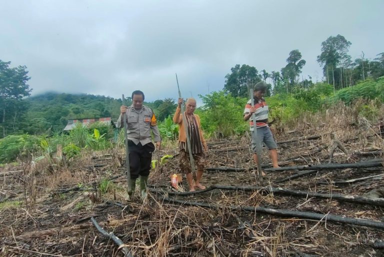 Dampingi Penanaman Jagung, Bhabinkamtibmas Tumbang Olong II Wujudkan Ketahanan Pangan Bersama Warga