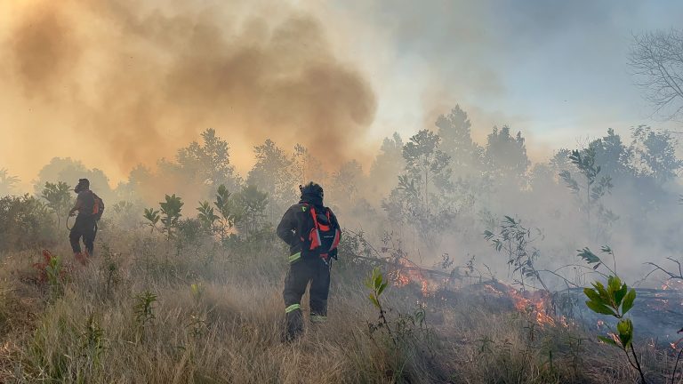 Tim Gabungan Polda Babel-Damkar Berjibaku Padamkan Karhutla Di Pangkalpinang