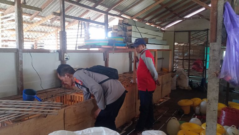 Giat Monitoring Dan Pendampingan Pemanfaatan Lahan Pekerangan Dalam Rangka Implementasi Asta Cita Presiden Republik Indonesia Dalam Bidang Ketahanan Pangan Oleh Polsek kapuas Hilir Polres Kapuas