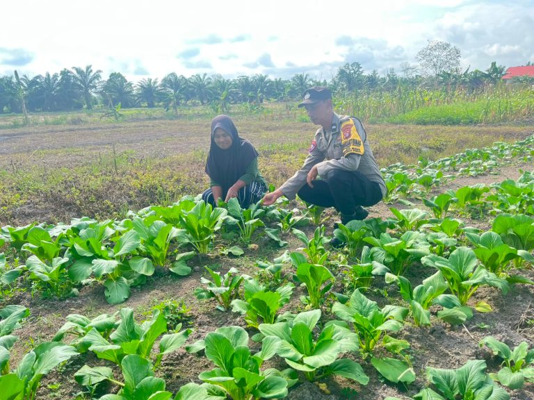 Polsek Sebangau Kuala Dukung Program Ketahanan Pangan Nasional Melalui Dialog Bersama Petani
