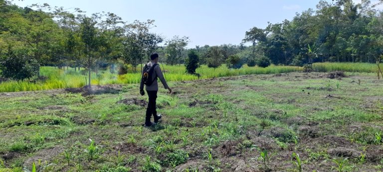 Giat Monitoring Dan Pendampingan Pemanfaatan Lahan Pekerangan Dalam Rangka Implementasi Asta Cita Presiden Republik Indonesia Dalam Bidang Ketahanan Pangan Oleh Polsek kapuas Hilir Polres Kapuas