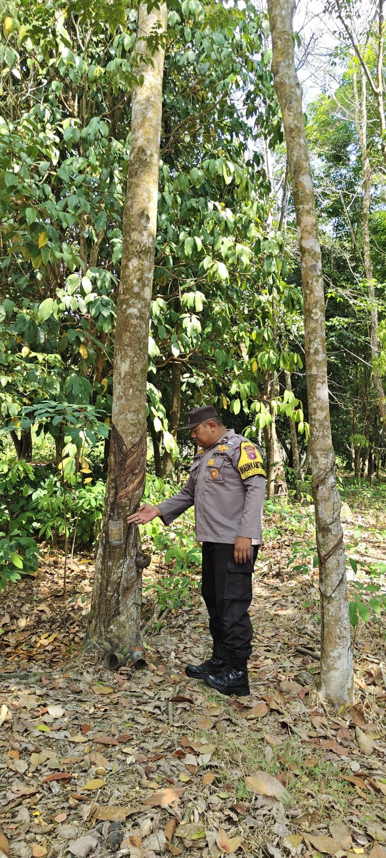 Giat Monitoring Dan Pendampingan Pemanfaatan Lahan Pekerangan Dalam Rangka Implementasi Asta Cita Presiden Republik Indonesia Dalam Bidang Ketahanan Pangan Oleh Polsek kapuas Hilir Polres Kapuas