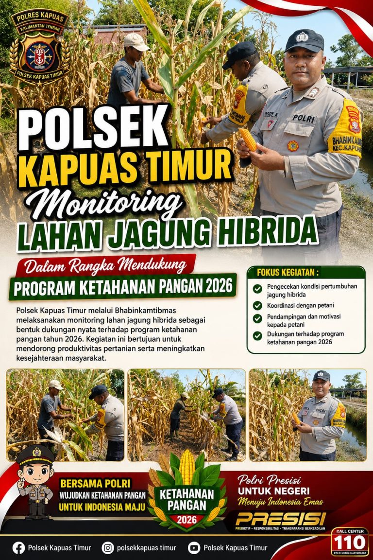 Bhabinkamtibmas Polsek Kapuas Timur Monitoring Lahan Jagung Hibrida Dukung Ketahanan Pangan 2026