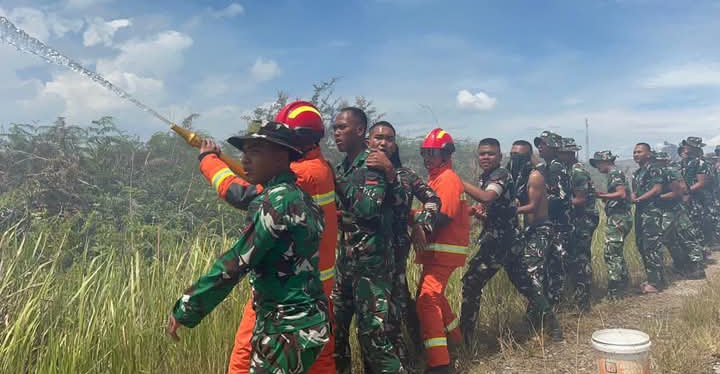 Pemkab Humbahas dan Yonif TP 955 HS Padamkan Kebakaran Lahan Warga di Simangaronsang