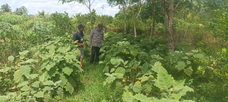 Polsek Basarang Dukung Ketahanan Pangan Untuk Program Makan Bergizi