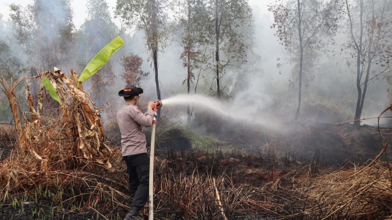 Polri dan Pemkab Kapuas Bersinergi Tangani Karhutla, Lokasi Kebakaran di Dadahup Dipantau Langsung