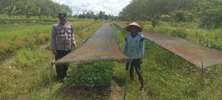 Polsek Basarang Dukung Ketahanan Pangan Untuk Program Makan Bergizi