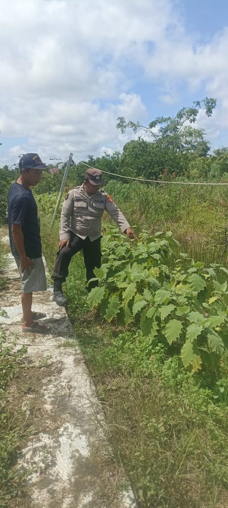 Polsek Basarang Dukung Ketahanan Pangan Untuk Program Makan Bergizi
