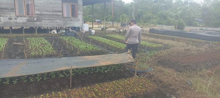 Polsek Basarang Dukung Ketahanan Pangan Untuk Program Makan Bergizi
