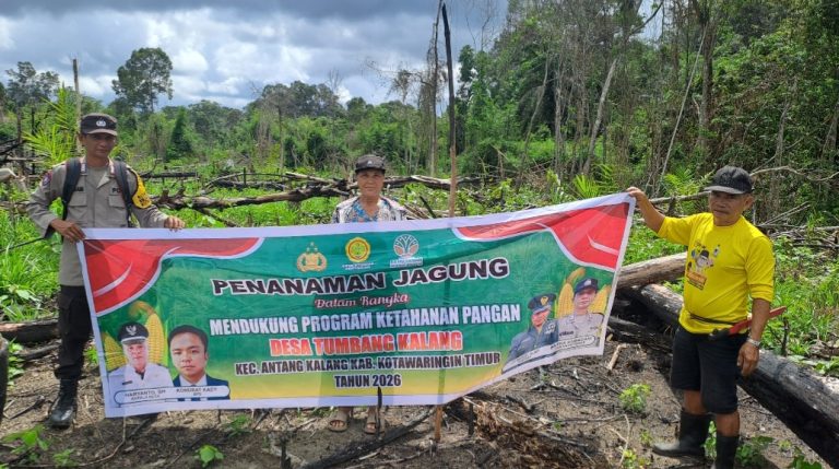 Dukung Program Ketahanan Pangan Nasional, Polsek Antang Kalang Gelar Penanaman Jagung Hibrida di Desa Tumbang Kalang