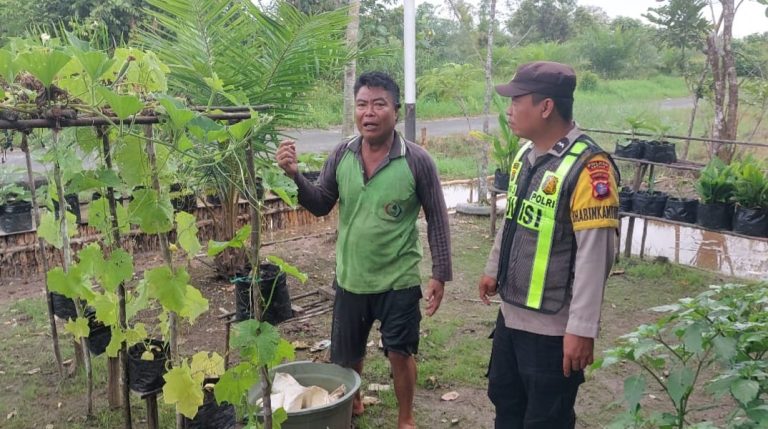 Polsek Kapuas Barat Cek Ketahanan Pangan Pertanian di Mandomai, Pastikan Stok Aman