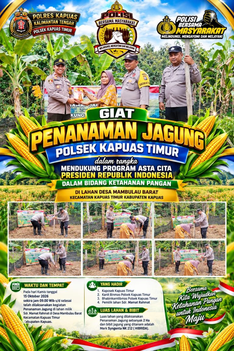 DUKUNG KETAHANAN PANGAN NASIONAL, POLSEK KAPUAS TIMUR LAKSANAKAN PENANAMAN JAGUNG SELUAS 2 HEKTARE DI DESA MAMBULAU BARAT
