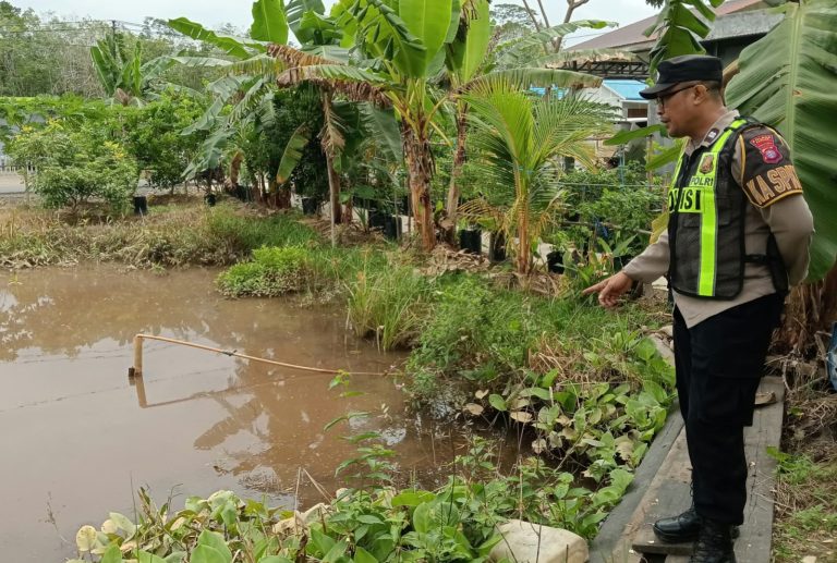 Perkuat Ketahanan Pangan Masyarakat, Polsek Kapuas Barat Tinjau Langsung Budidaya Ikan Air Tawar Warga Mandomai