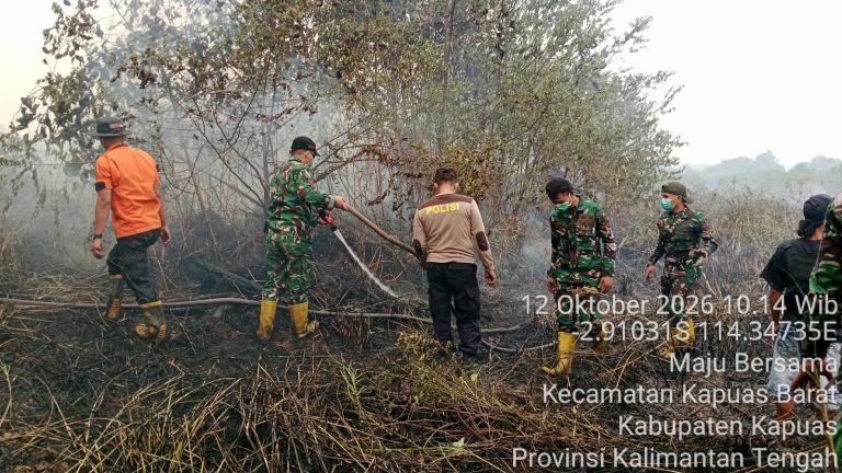Sinergi Lintas Instansi, Tim Gabungan Karhutla Kapuas Barat Berhasil Padamkan Api di Dua Desa